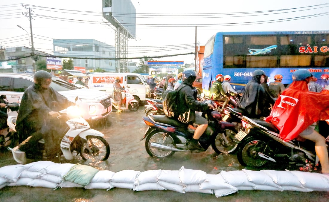 hạ tầng - Ảnh 5.