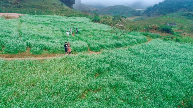 Son La: De toeristische sector speelt een belangrijke rol in de economie en draagt bij aan de uitroeiing van honger en armoede, het behoud van cultuur en de bescherming van het milieu - Foto 1. Sơn La: Ngành du lịch đã phát huy vai trò quan trọng trong nền kinh tế, góp phần xóa đói giảm nghèo, bảo tồn văn hóa và bảo vệ môi trường - Ảnh 1.