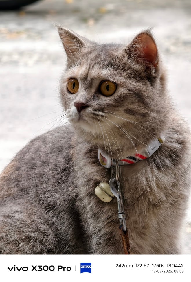 Trải nghiệm vivo X300 Pro: nhiếp ảnh chuyên nghiệp cho người đam mê sáng tạo - Ảnh 37.