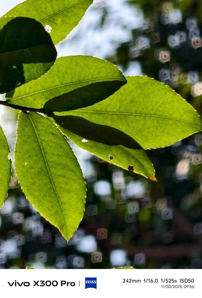 Trải nghiệm vivo X300 Pro: nhiếp ảnh chuyên nghiệp cho người đam mê sáng tạo - Ảnh 38.