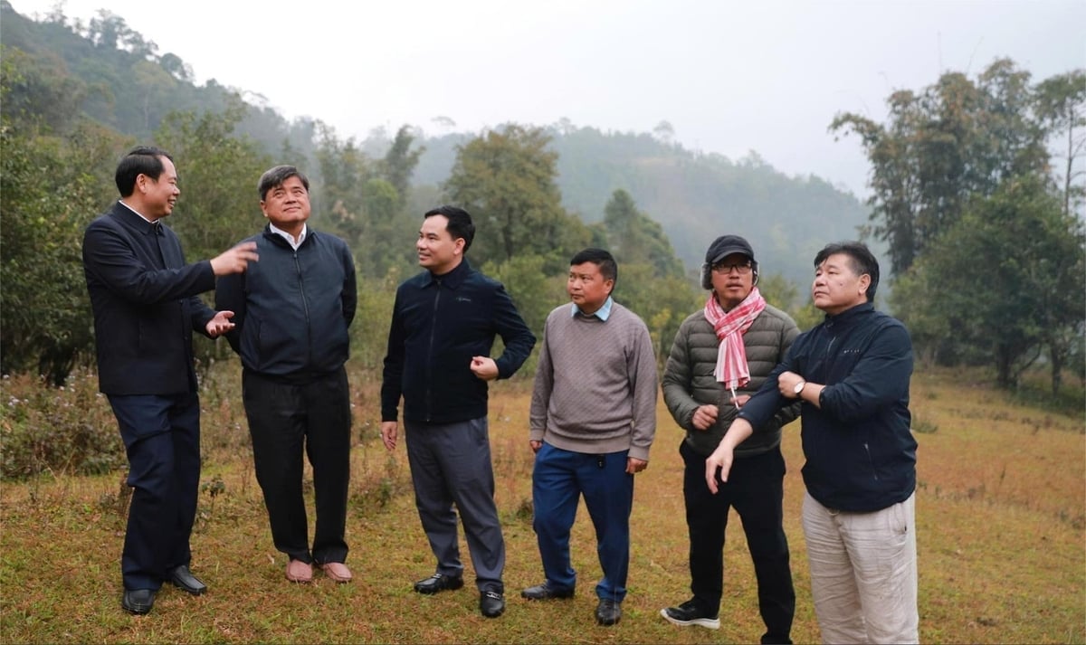 លេខាបក្សឃុំ Ho Thau លោក Ly Choi Nhan (ឆ្វេងស្តាំ) ឧទ្ទេសនាមអំពីសក្ដានុពល និងភាពខ្លាំងរបស់មូលដ្ឋានជូនអនុរដ្ឋមន្ត្រី Tran Thanh Nam។ រូបថត៖ ឌុក ឡុង។ Bí thư xã Hồ Thầu Lý Chòi Nhàn (ngoài cùng bên trái) giới thiệu tiềm năng, thế mạnh của địa phương tới Thứ trưởng Trần Thanh Nam. Ảnh: Đức Long.