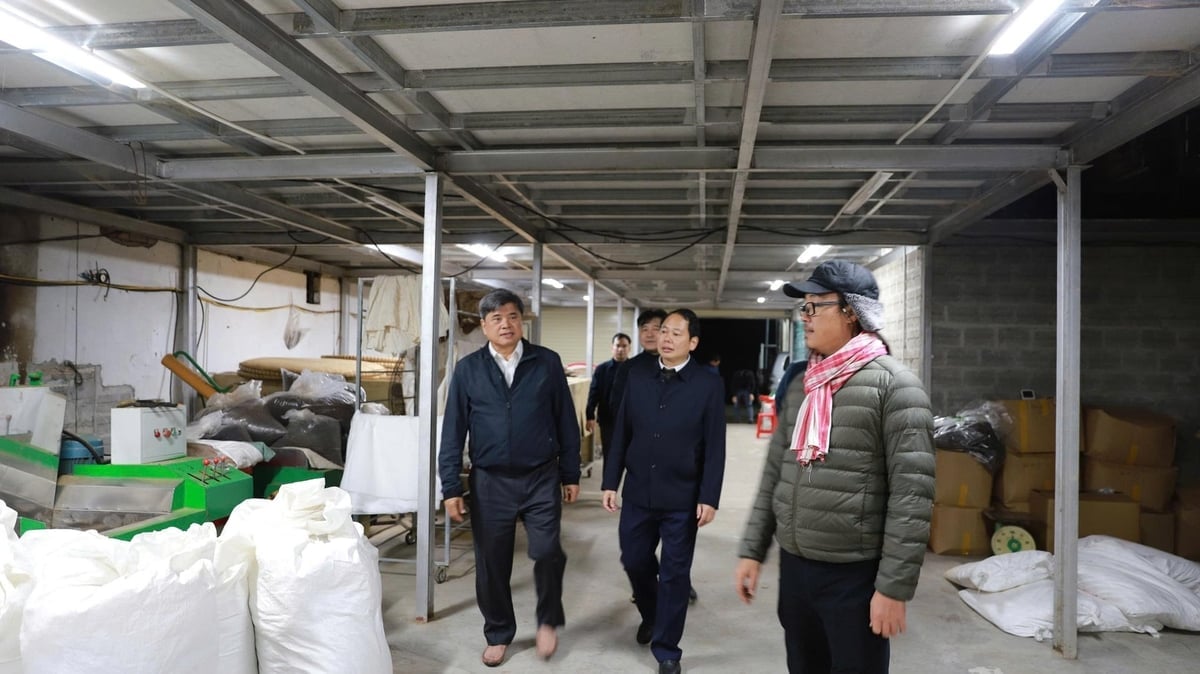 អនុរដ្ឋមន្ត្រី Tran Thanh Nam បានទៅទស្សនាសហករណ៍ Ho Thau Tea ដែលដឹកនាំដោយលោក Nguyen Trung Dung (ស្តាំ)។ រូបថត៖ ឌុក ឡុង។ Thứ trưởng Trần Thanh Nam thăm HTX Chè Hồ Thầu do ông Nguyễn Trung Dũng (ngoài cùng bên phải) làm Giám đốc. Ảnh: Đức Long.