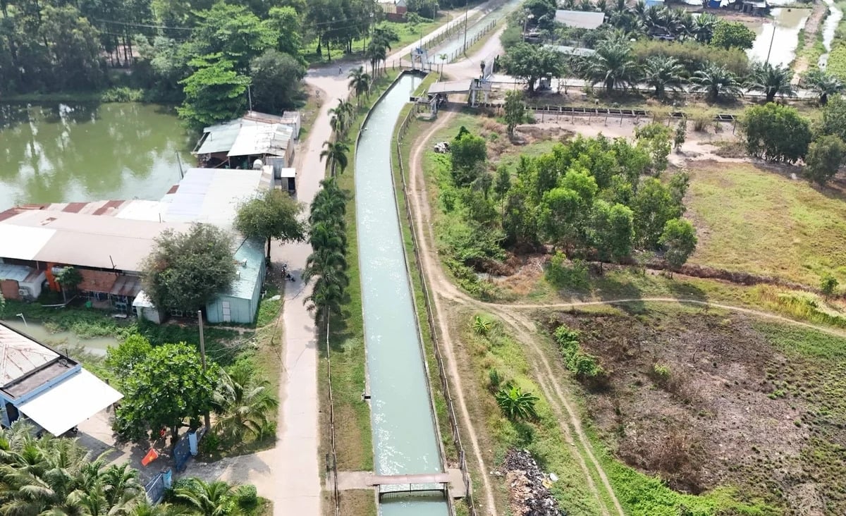 ডং কু চি খাল - দক্ষিণ-পূর্বে অবস্থিত একটি বৃহৎ খাল। ছবি: লে বিন। Kênh Đông Củ Chi - một tuyến kênh lớn ở Đông Nam Bộ. Ảnh: Lê Bình.