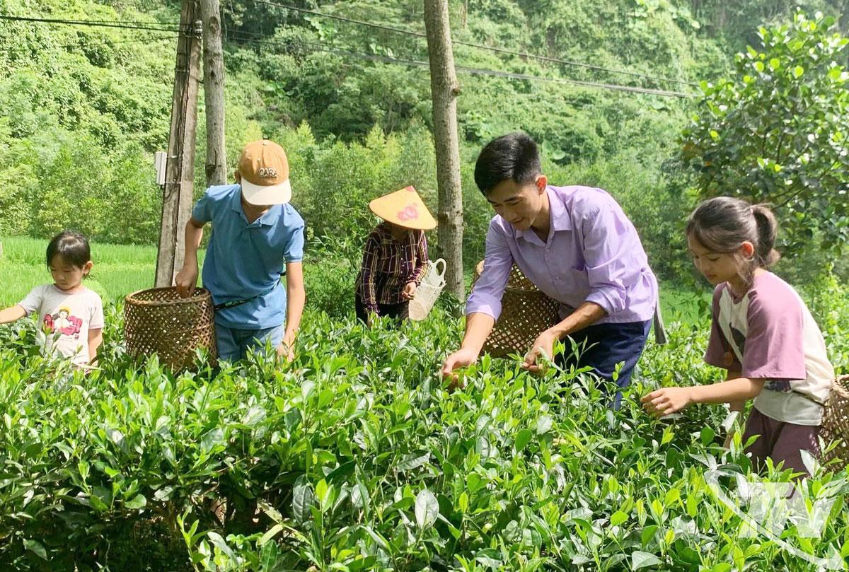 Тай Нгуєн: Використання потенціалу для розвитку громадського туризму Thái Nguyên: Khai thác tiềm năng phát triển du lịch cộng đồng