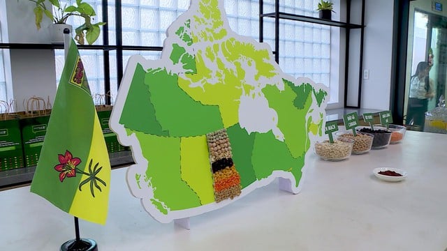 Canada introduserer landbruksprodukter fra Saskatchewan, og fremmer dermed bærekraftig landbrukssamarbeid med Vietnam – Bilde 1. Canada giới thiệu nông sản Saskatchewan, thúc đẩy hợp tác nông nghiệp bền vững với Việt Nam- Ảnh 1.