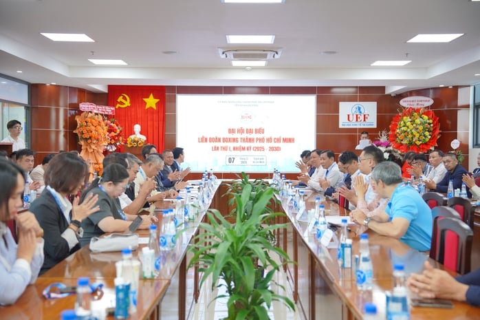 Liên đoàn Boxing TP HCM quyết tâm đổi mới để phát triển - Ảnh 1.