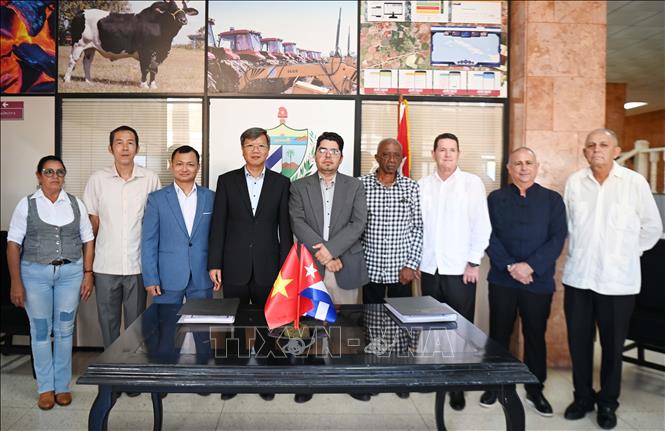 Λεζάντα φωτογραφίας