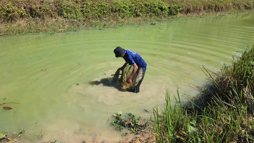 Dạo vợt qua lại trên mặt nước cho bùn trôi ra bớt