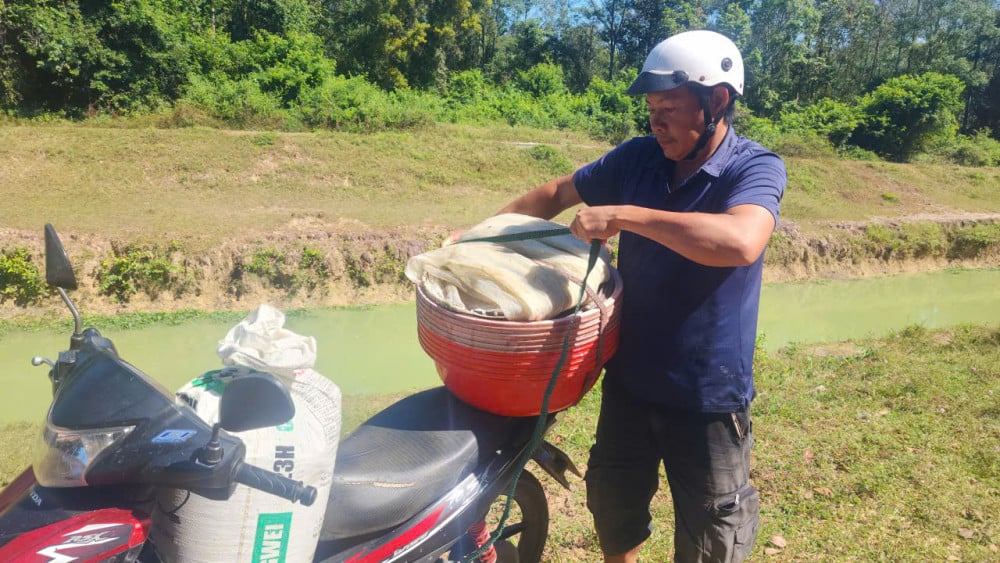 Chỉ buổi sáng, ông Thời bắt được cả chục kg ấu trùn