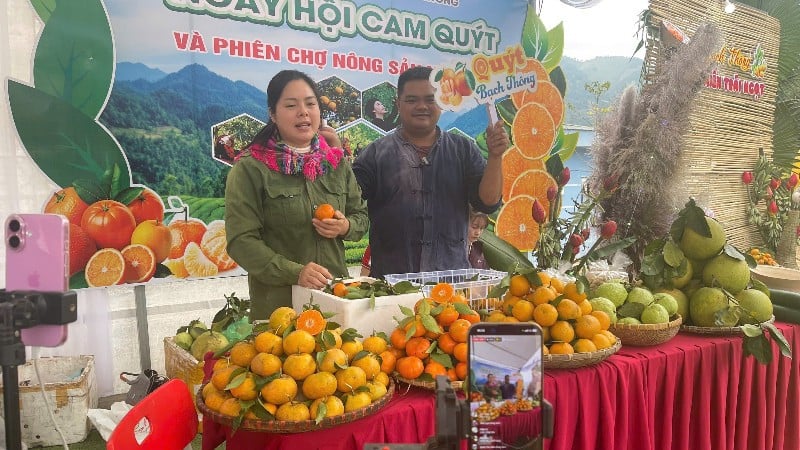 שידור חי של מכירת תפוזים ומנדרינות בפסטיבל. (צילום: דוי חאן)