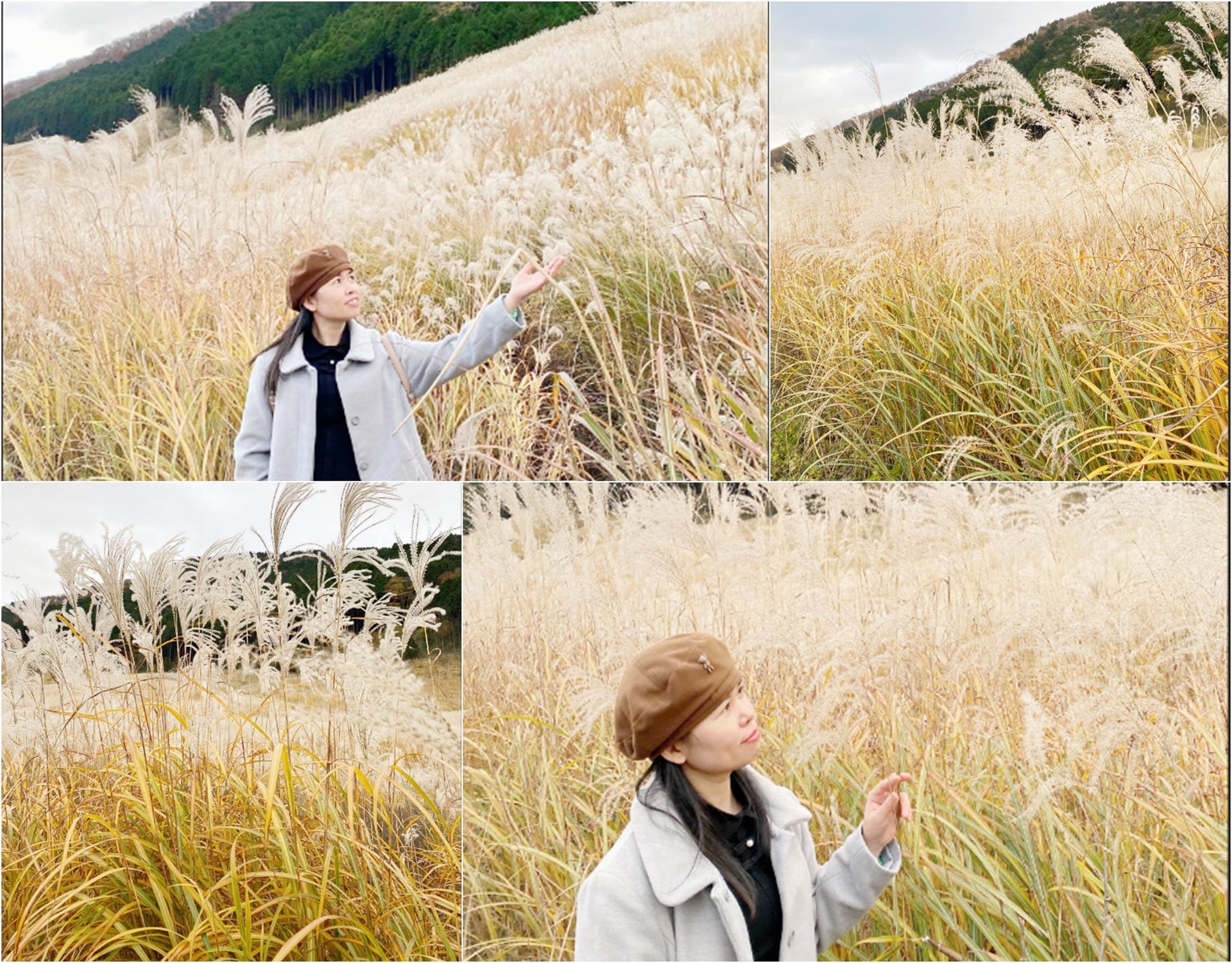 De blomstrende sivmarkene er så vakre at det berører hjertet.