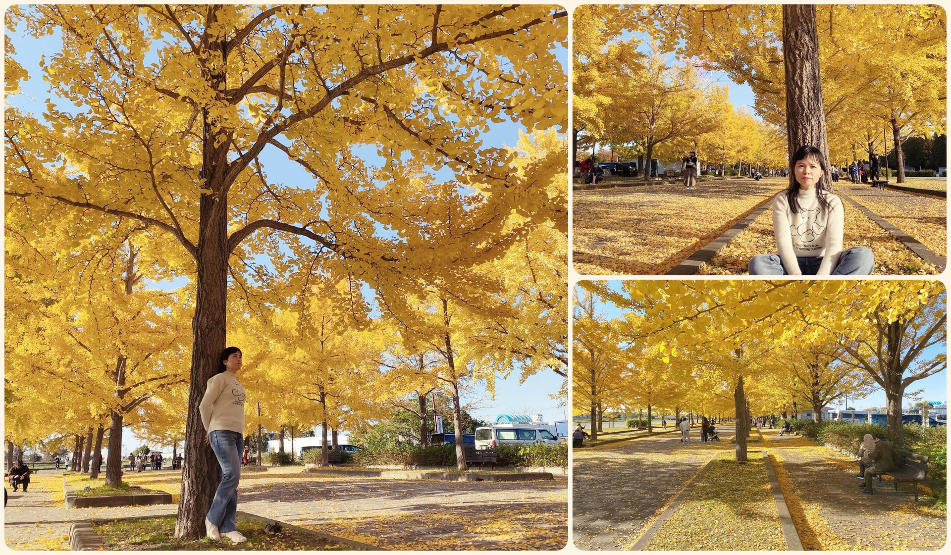 Dette regnes som den beste tiden på året å se høstbladene på Kazo Hanasaki vannpark.