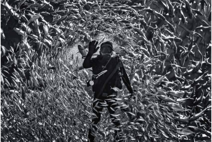 nhiếp ảnh Việt Nam - Ảnh 6.