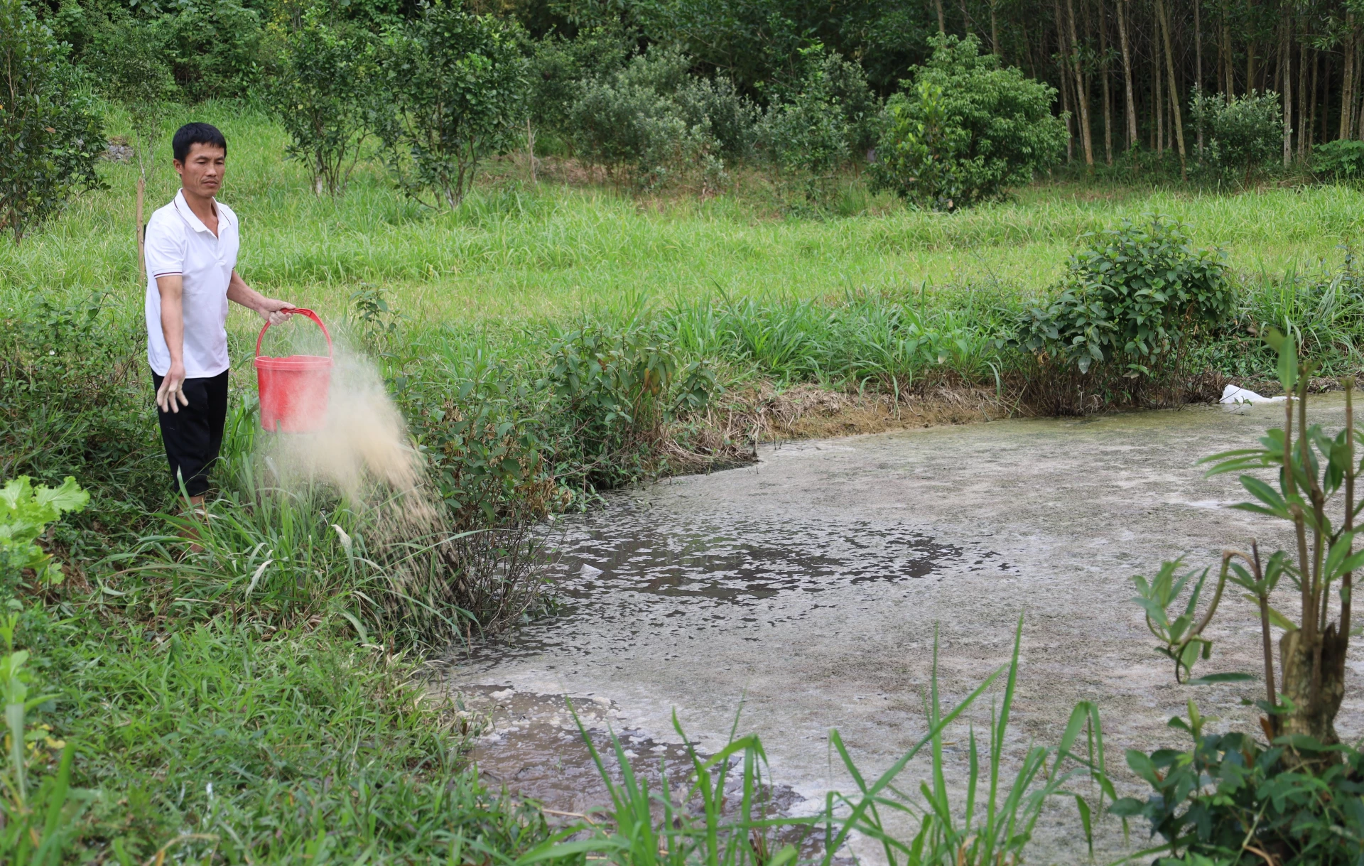 Từ mô hình sinh kế được hỗ trợ, anh Hà Quang Hải ở thôn Cao Cảnh, xã Tuyên Hóa đã vươn lên thoát nghèo - Ảnh: Th.H