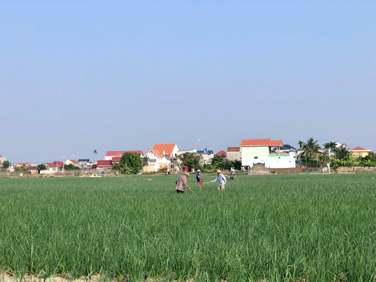 Podpis pod zdjęciem