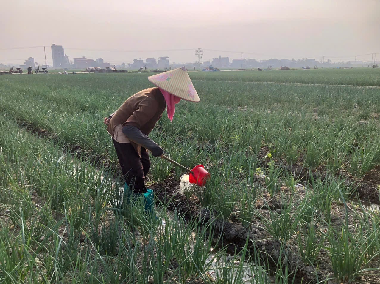 Podpis pod zdjęciem