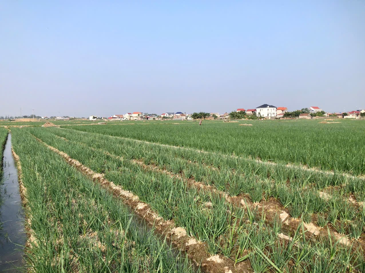 Podpis pod zdjęciem