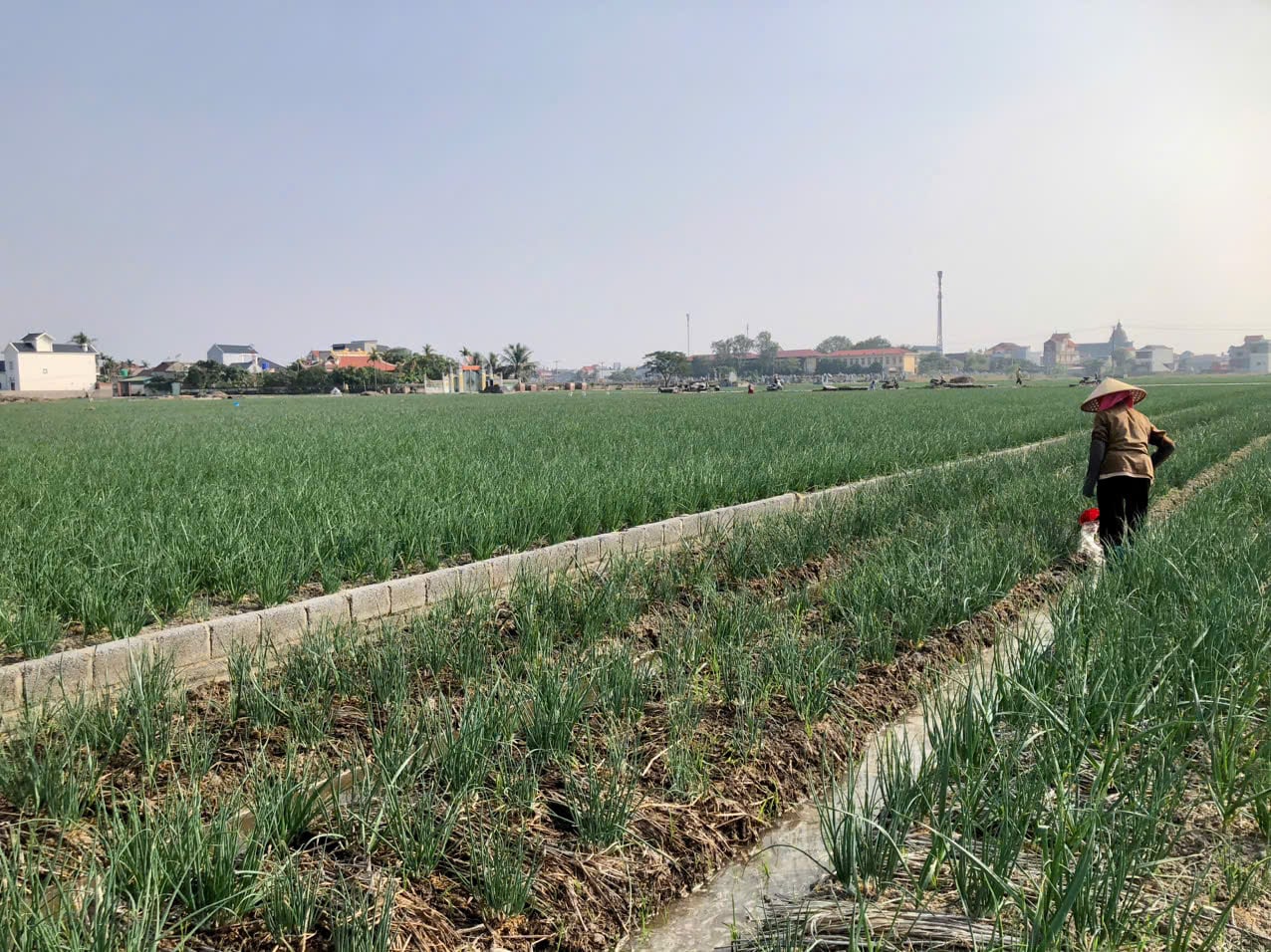 Podpis pod zdjęciem