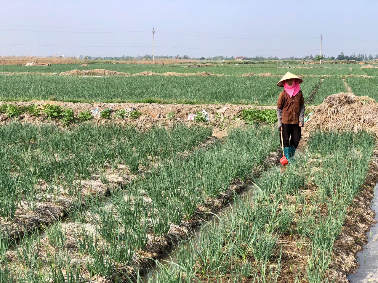 Podpis pod zdjęciem