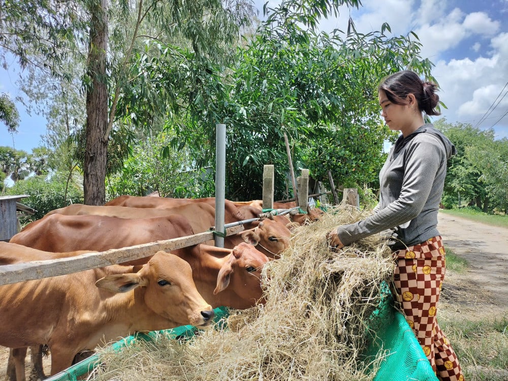 Mata pencaharian stabil, percaya diri untuk keluar dari kemiskinan