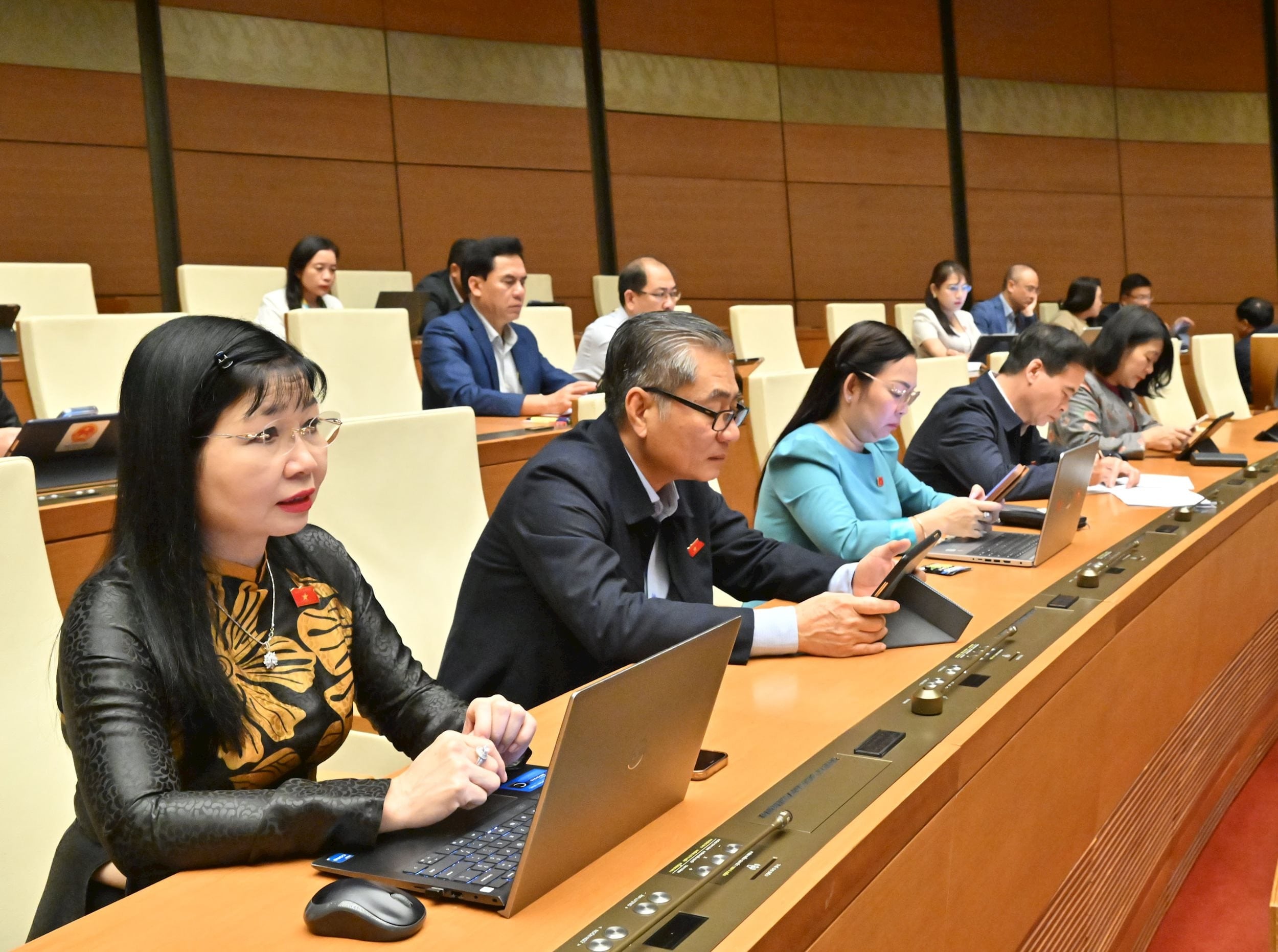 Delegater vid mötetVQK_2241