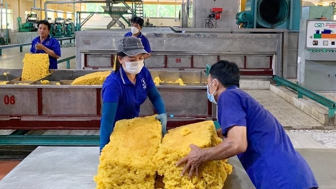 ລາຄາຢາງພາລາ ມື້ນີ້ ວັນທີ 8 ທັນວາ 2025 ໃນປະເທດ ແລະ ທົ່ວໂລກ Giá cao su hôm nay 8/12/2025 ở trong nước và thế giới mới nhất