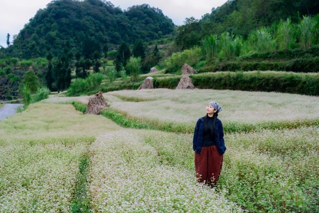 Von der Perleninsel bis zum Felsplateau: Interessante Geschichten aus der Weihnachtszeit Từ đảo ngọc đến cao nguyên đá, câu chuyện mùa lễ hội cuối năm thú vị- Ảnh 1.