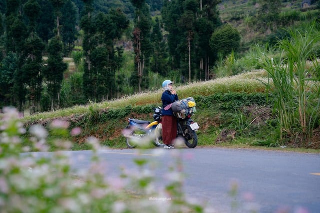 Von der Perleninsel bis zum Felsplateau: Interessante Geschichten aus der Weihnachtszeit Từ đảo ngọc đến cao nguyên đá, câu chuyện mùa lễ hội cuối năm thú vị- Ảnh 2.