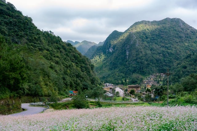 Von der Perleninsel bis zum Felsplateau: Interessante Geschichten aus der Weihnachtszeit Từ đảo ngọc đến cao nguyên đá, câu chuyện mùa lễ hội cuối năm thú vị- Ảnh 3.