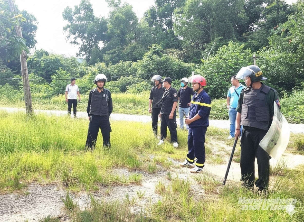 フーコック特別区当局は、侵入した森林地の埋め立てを強制的に実施している。写真:チュン・チャン Lực lượng chức năng đặc khu Phú Quốc tổ chức cưỡng chế thu hồi đất lâm nghiệp bị lấn chiếm. Ảnh: Trung Chánh.