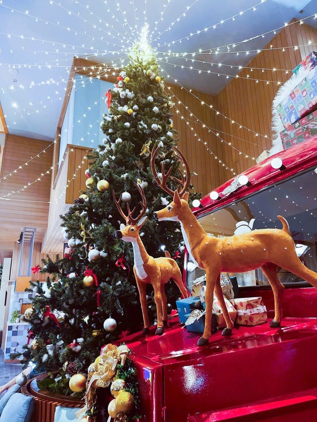 Von der Perleninsel bis zum Felsplateau: Interessante Geschichten aus der Weihnachtszeit Từ đảo ngọc đến cao nguyên đá, câu chuyện mùa lễ hội cuối năm thú vị- Ảnh 11.