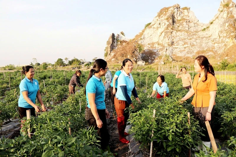 Crearea de oportunități și stimularea cererii pentru cooperative gestionate de femei pentru a se dezvolta