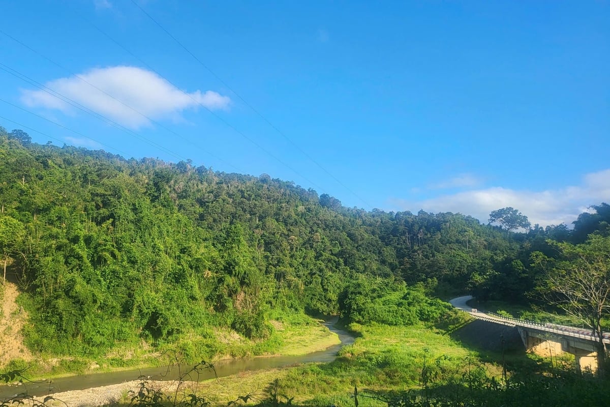 디엔비엔성, 므엉냐 마을의 숲 한 구석. 사진: 황짜우. Một góc rừng xã Mường Nhà, tỉnh Điện Biên. Ảnh: Hoàng Châu.