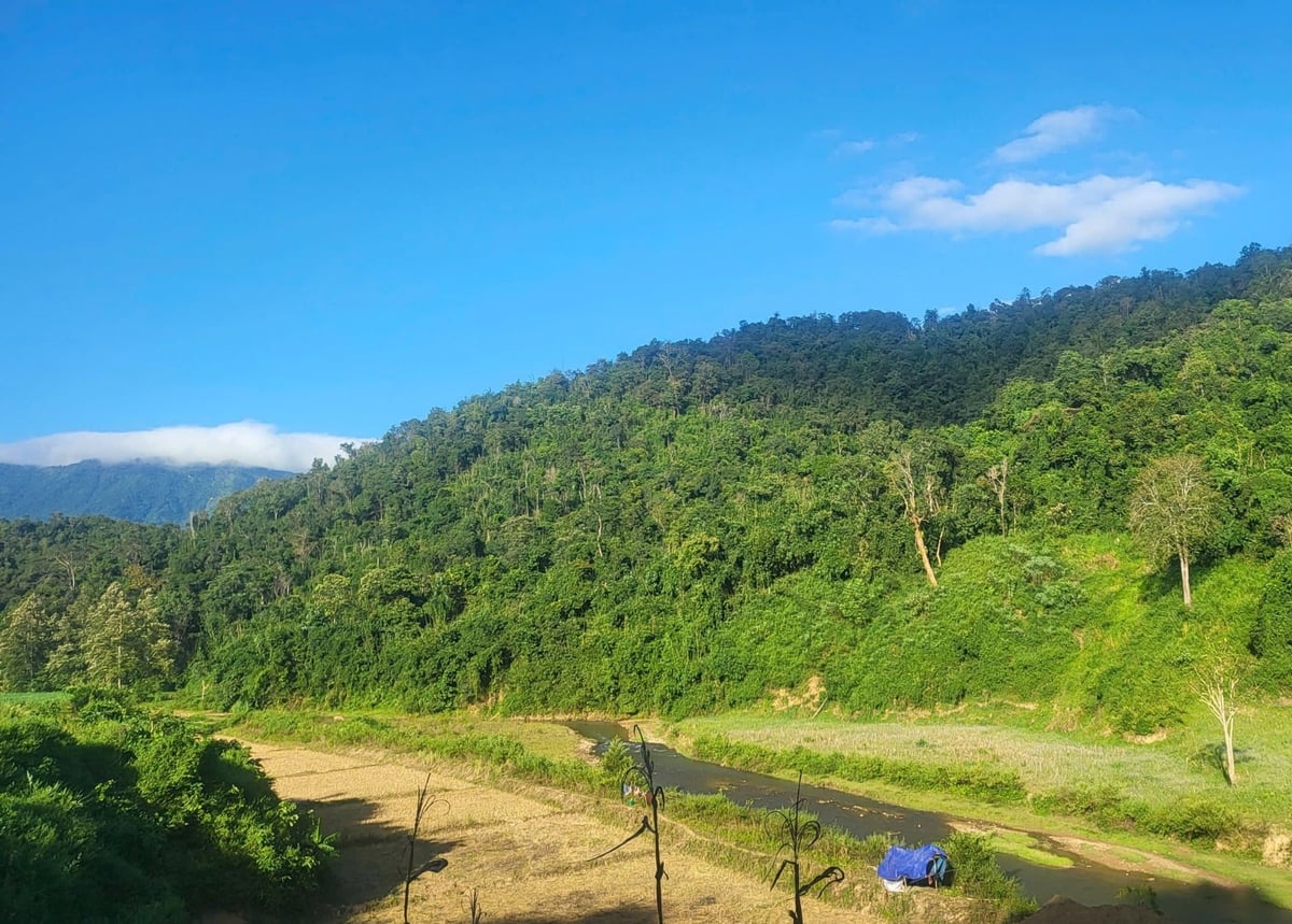 DVMTR 정책 덕분에 무옹냐의 산림 피복률은 매년 증가하고 있습니다. 사진: 황짜우. Nhờ chính sách DVMTR mà tỷ lệ che phủ rừng của Mường Nhà tăng lên hàng năm. Ảnh: Hoàng Châu.