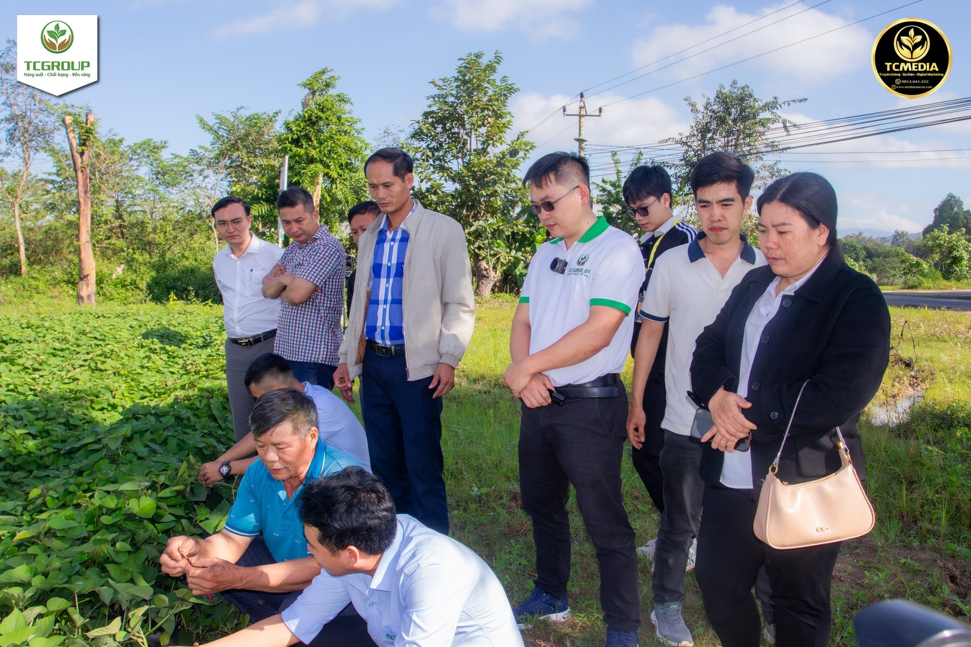 Um grupo de trabalho da Estação Regional de Extensão Agrícola de Lak e da TCBiotech Global Joint Stock Company inspecionou o crescimento de variedades de batata-doce cultivadas in vitro em um modelo na comuna de Dak Phoi. Foto: Tran Tho. Đoàn công tác của Trạm Khuyến nông khu vực Lắk và Công ty cổ phần TCBiotech Toàn Cầu kiểm tra thực tế sinh trưởng của giống khoai lang nuôi cấy mô tại mô hình ở xã Đắk Phơi. Ảnh: Trần Thọ.