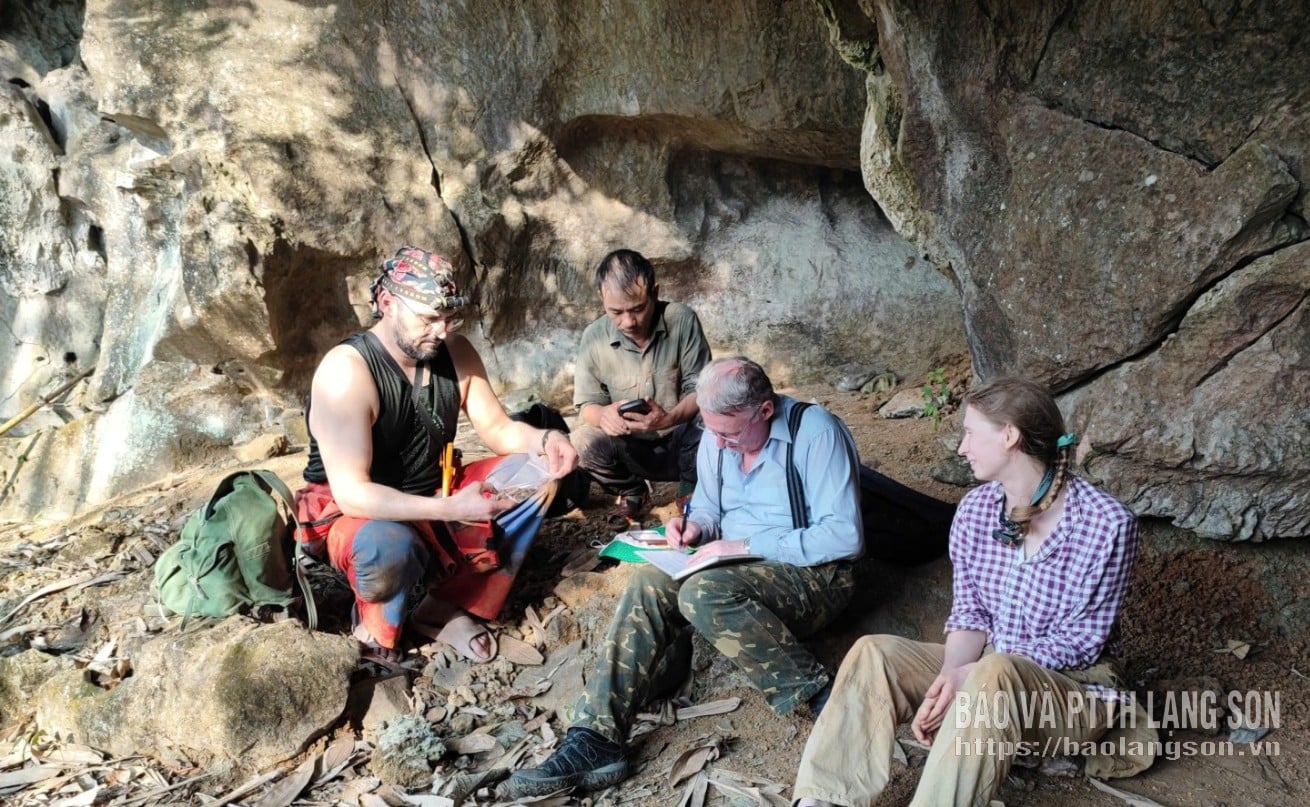 Muzeum prowincjonalne nawiązało współpracę z oficerami i ekspertami z Wietnamsko-Rosyjskiego Centrum Tropikalnego (podległego Ministerstwu Obrony Narodowej) w celu przeprowadzenia badań paleontologicznych na terenie gminy Binh Gia.