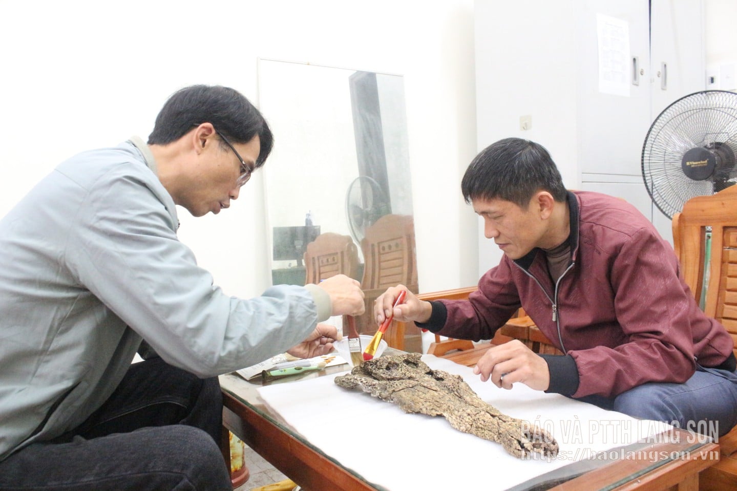 Urzędnicy Muzeum Prowincjonalnego poddają skamieniałości krokodyli obróbce chemicznej
