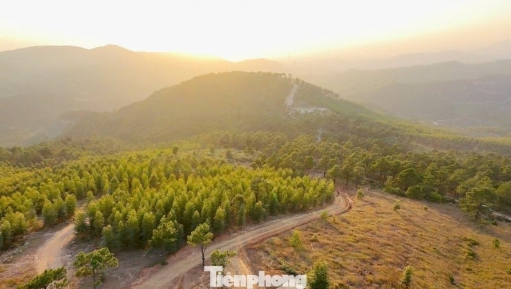Los turistas acuden en masa a acampar y registrarse en la colina cubierta de hierba y colores