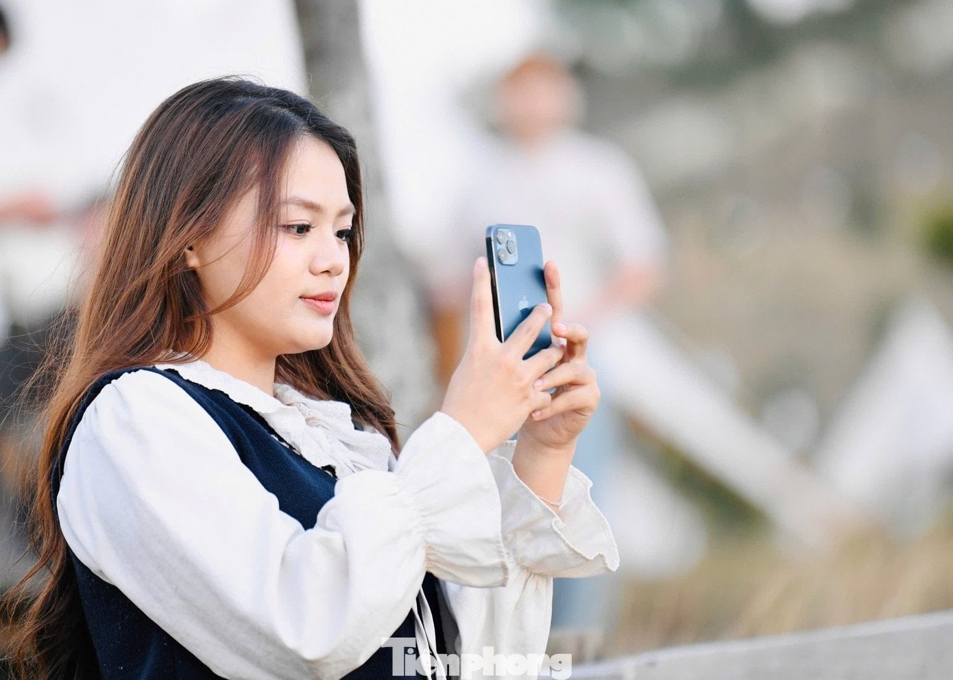 Ot yakma mevsiminde Phoenix çimen tepesinin panoramik görünümü.
