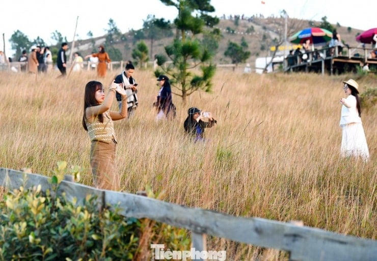Los turistas acuden en masa a acampar y registrarse en la colina cubierta de hierba y colores