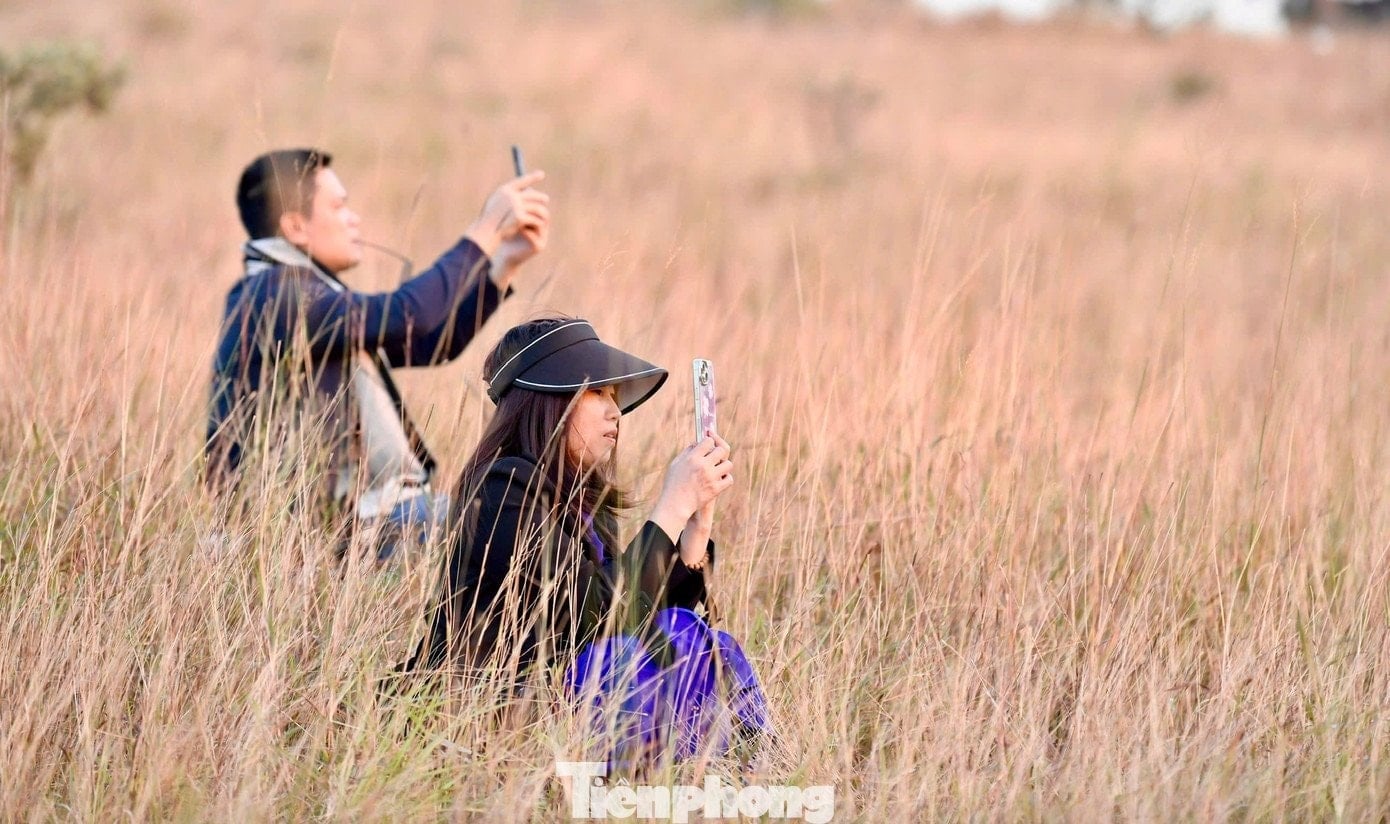 Zmierzch zapada nad wypalonym trawą wzgórzem.
