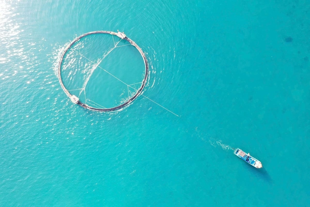 زراعت اور ماحولیات اب بھی ایک ایسی صنعت ہے جو ملک میں مستحکم ترقی لاتی ہے۔ تصویر: Hoang Anh. Nông nghiệp và Môi trường vẫn là một ngành đem lại sự phát triển ổn định cho đất nước. Ảnh: Hoàng Anh.