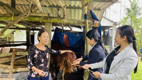 Nghia Hanh kommune gir levebrød til fattige