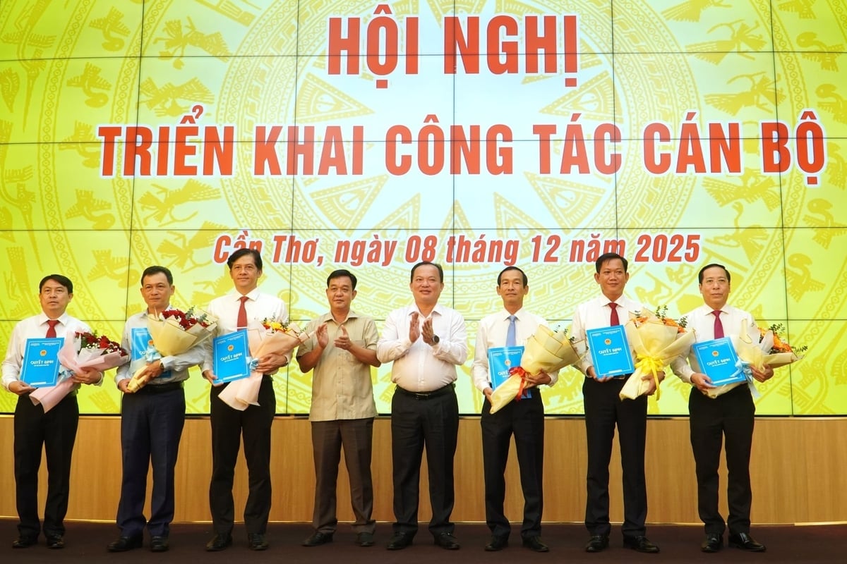 TP. Cần Thơ trao các quyết định tiếp nhận, bổ nhiệm, giao quyền và chuyển công tác đối với nhiều cán bộ tại Sở Tài chính, Sở Ngoại vụ, Thanh tra thành phố, Viện Kinh tế - Xã hội và Trường Cao đẳng Kinh tế - Kỹ thuật Cần Thơ. Ảnh: Kim Anh.