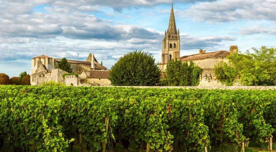 L’œnotourisme met en lumière le patrimoine agricole mondial - photo 1