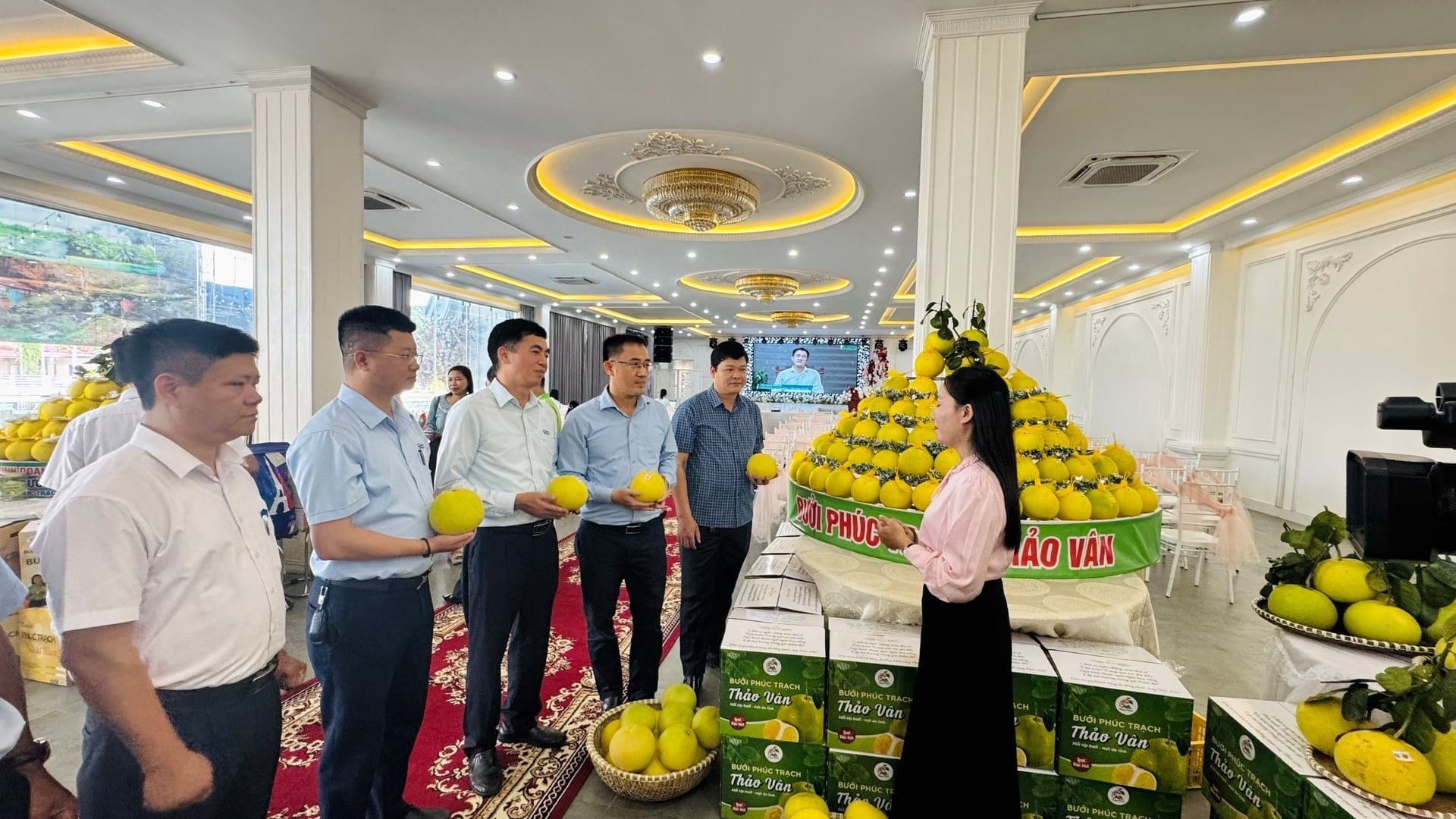 Hoạt động tư vấn, dịch vụ khuyến nông sẽ được mở rộng. Ảnh: Ánh Nguyệt.