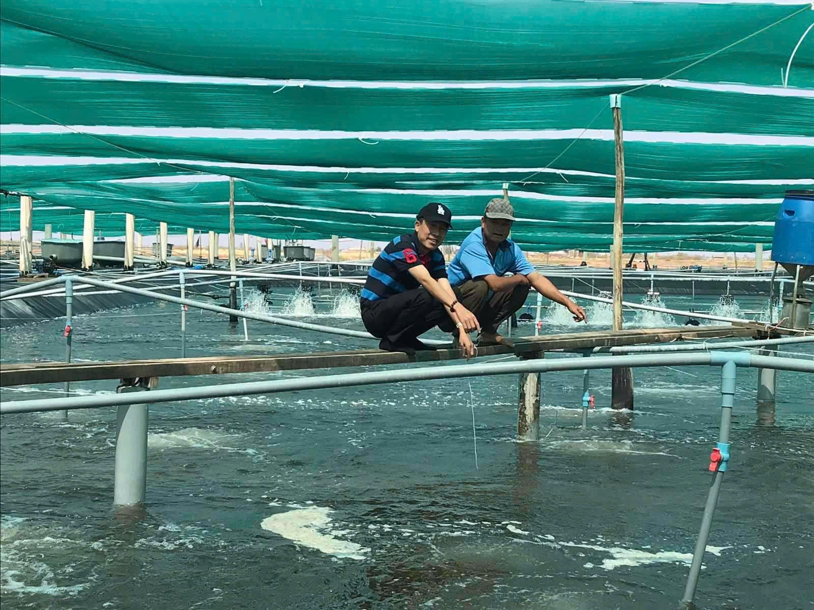 Ông Mai Văn Hoàng - người sáng lập Tập đoàn GrowMax (áo kẻ sọc) thăm và trò chuyện với một hộ nuôi tôm tại Cà Mau. Ảnh: HT. 