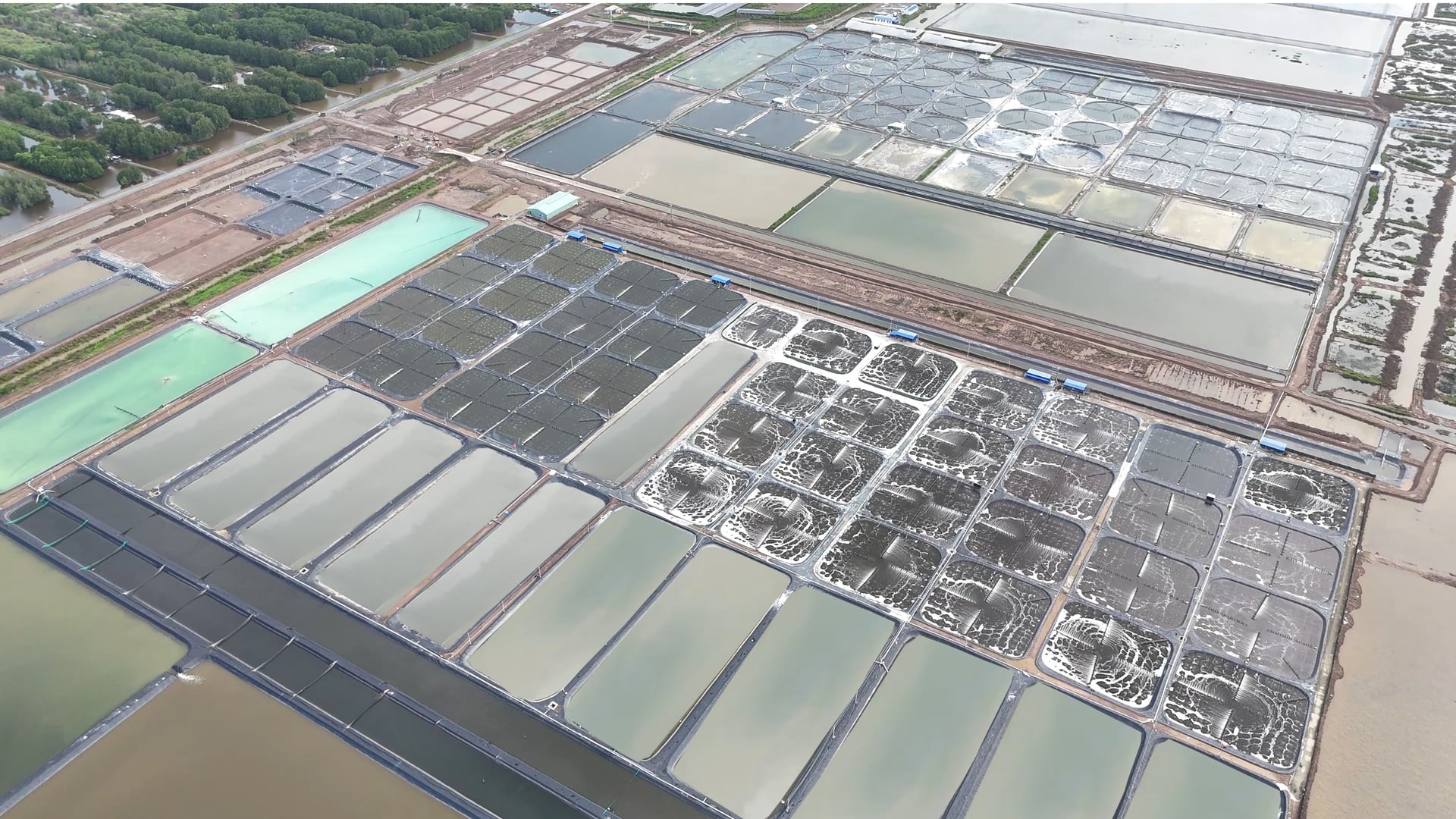 Khu phức hợp ngành tôm công nghệ cao GrowMax tại Bạc Liêu có diện tích 216 ha. Ảnh: HT. 