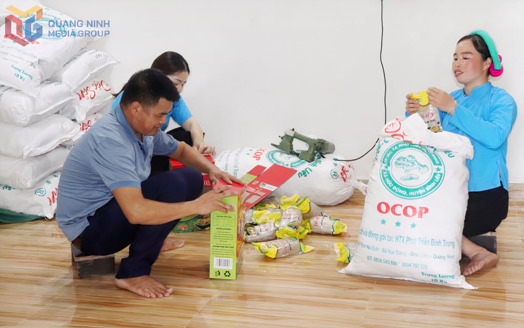 श्री ला ए नॉन्ग और दिन्ह ट्रुंग विकास सहकारी के सदस्य बिन्ह लियू सेंवई उत्पादों का पैकेज तैयार करते हैं।