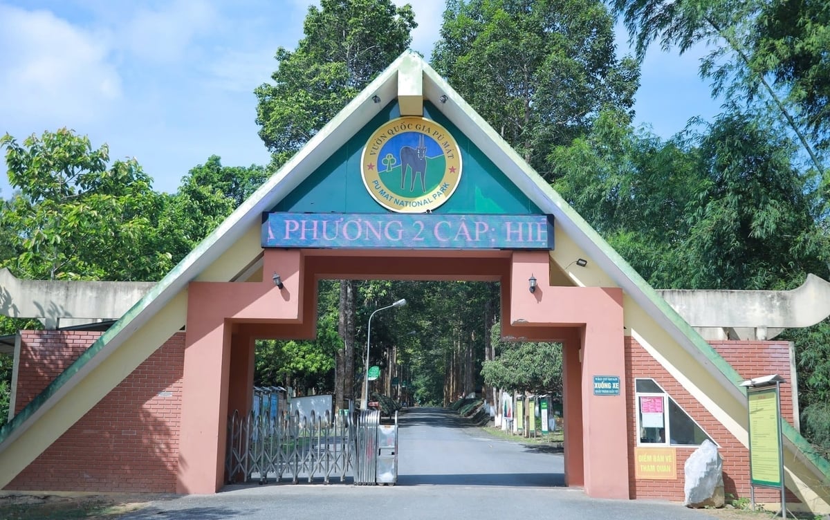 Giá trị rừng tại Vườn Quốc gia Pù Mát rất đa dạng, phong phú. Ảnh: Việt Khánh.